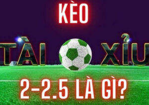 Kèo Chấp 2 1/4 N88 Tận Hưởng Quá Trình Tham Gia Cá Cược Hấp Dẫn 10 keo chap 2 14 n88 1
